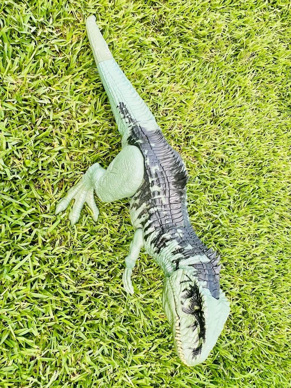 Jurassic World Super Colossal Giganotosaurus 40”  Green Giant Dinosaur Dominion